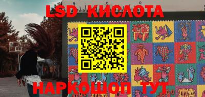 Альфа ПВП Канаш