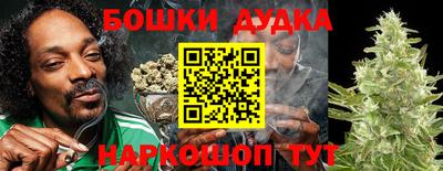дурь Камышлов