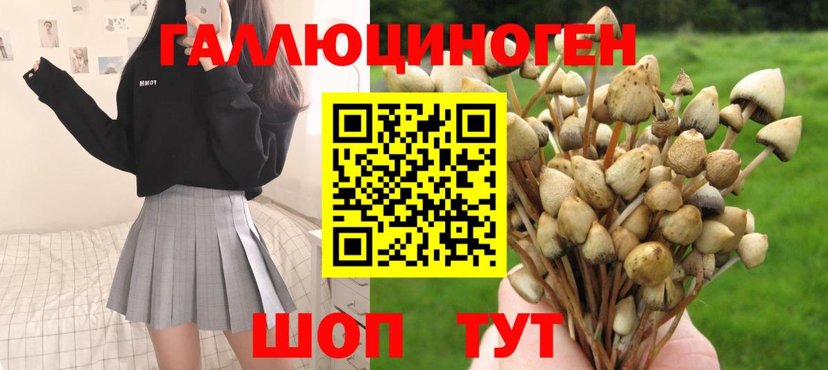 Глазов  Псилоцибиновые грибы прущие грибы  Вход с VPN 