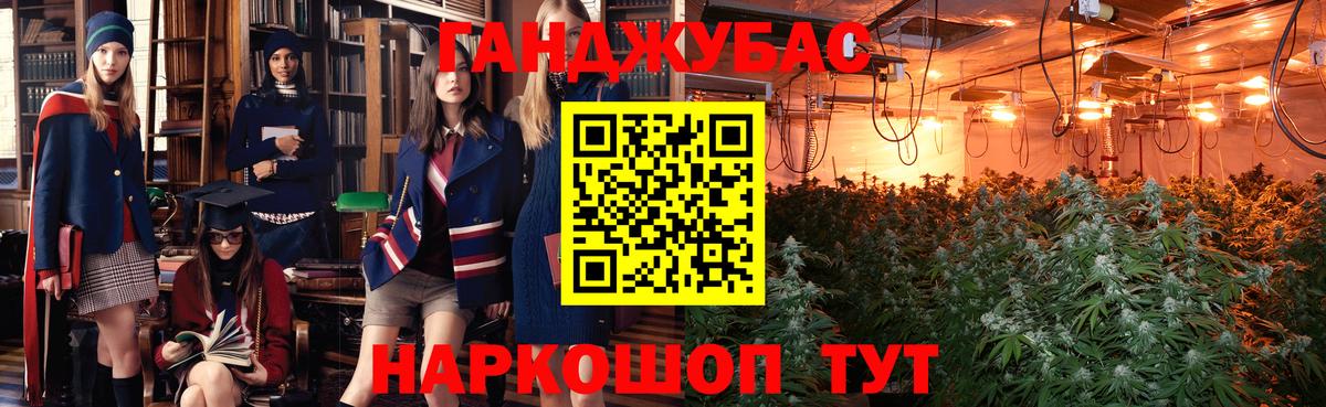 Конопля гибрид Глазов
